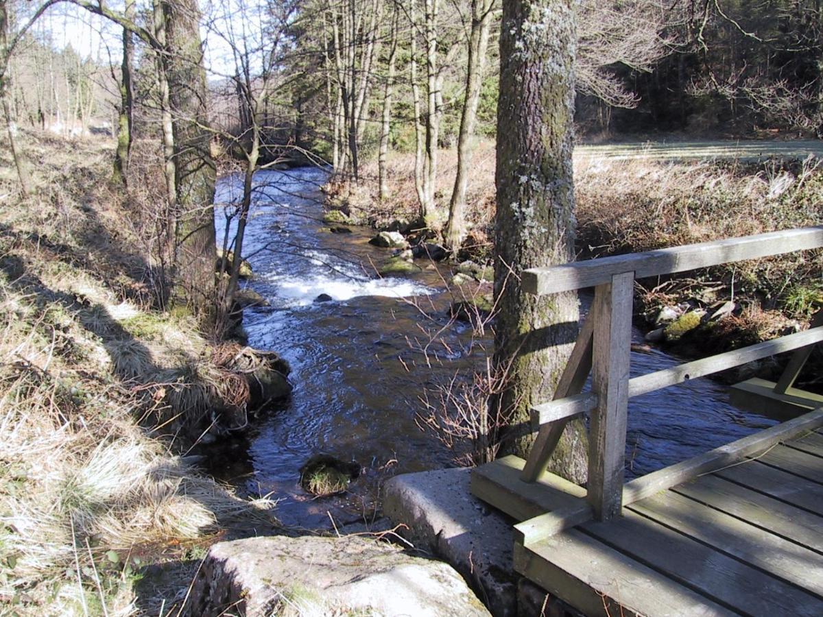 Ferienwohnung Kuckuck Auf Dem Sommerberg Incl Schwarzwaldcard Plus - 2 Zimmer 50Qm Bad Wildbad Exteriör bild