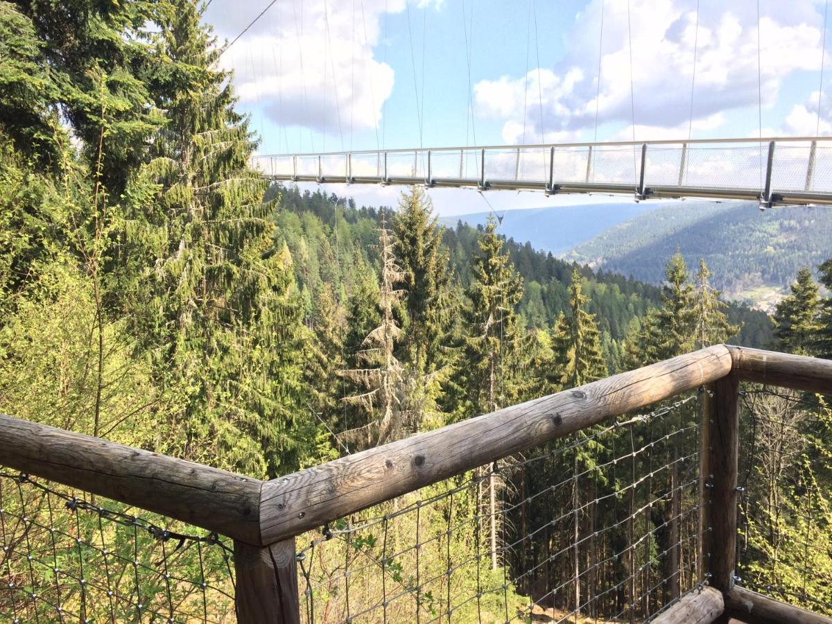 Ferienwohnung Kuckuck Auf Dem Sommerberg Incl Schwarzwaldcard Plus - 2 Zimmer 50Qm Bad Wildbad Exteriör bild