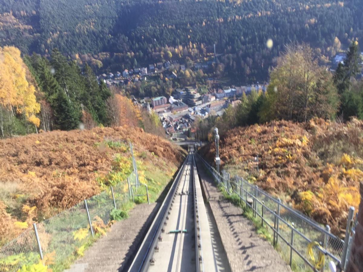 Ferienwohnung Kuckuck Auf Dem Sommerberg Incl Schwarzwaldcard Plus - 2 Zimmer 50Qm Bad Wildbad Exteriör bild