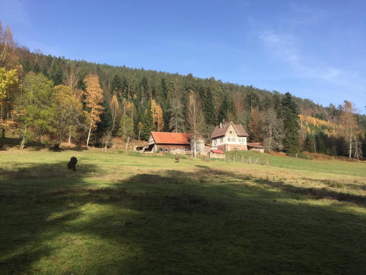 Ferienwohnung Kuckuck Auf Dem Sommerberg Incl Schwarzwaldcard Plus - 2 Zimmer 50Qm Bad Wildbad Exteriör bild
