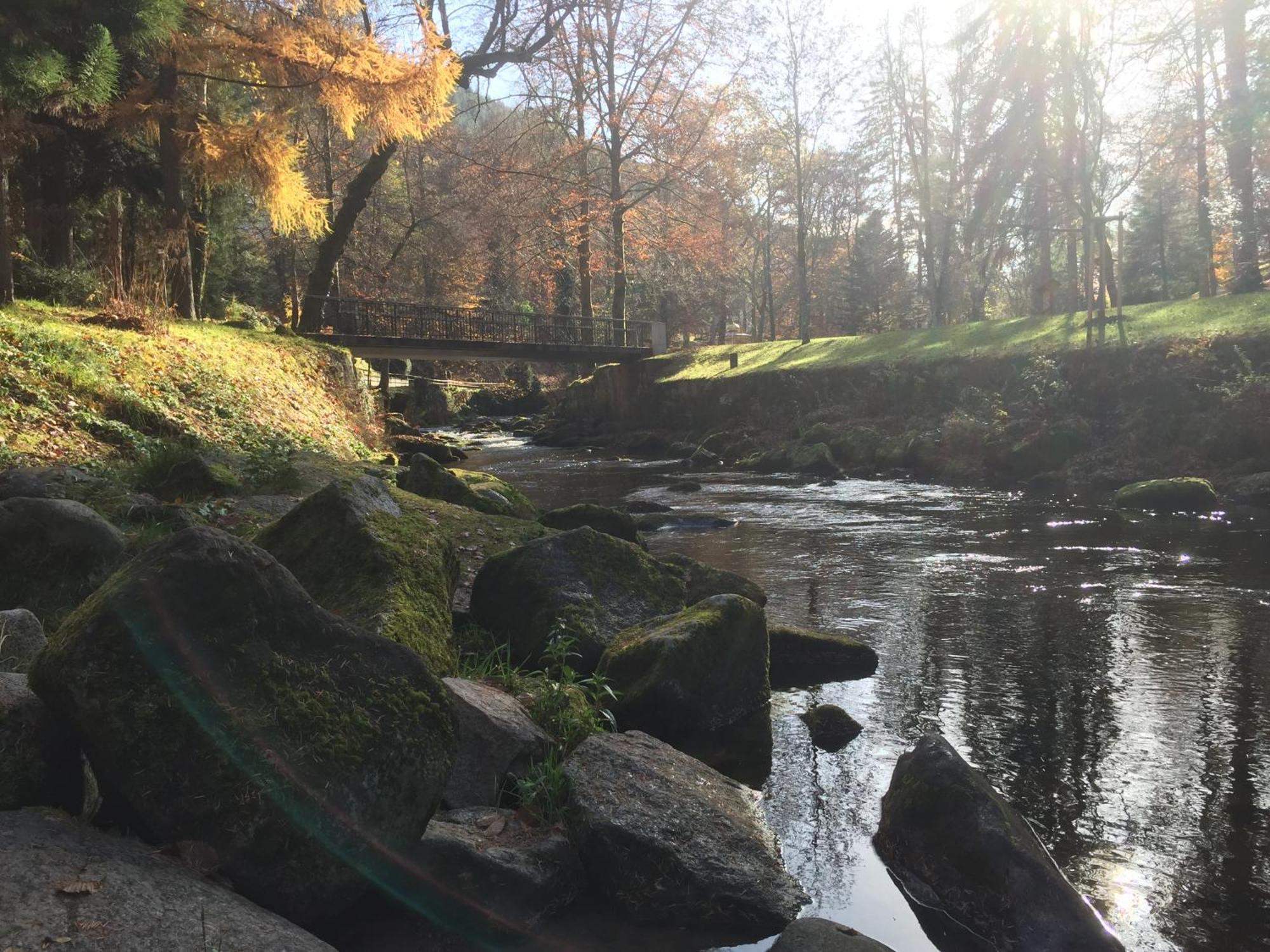 Ferienwohnung Kuckuck Auf Dem Sommerberg Incl Schwarzwaldcard Plus - 2 Zimmer 50Qm Bad Wildbad Exteriör bild